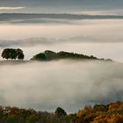 Der Lichtspot von der Sonne saß perfekt, er brachte die Herbstblätter zum leuchten.