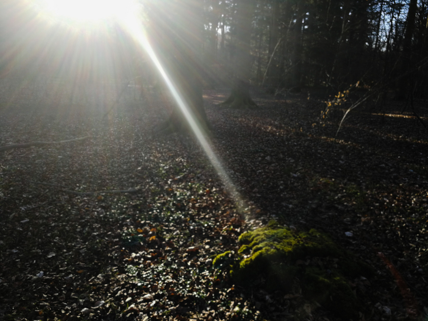 Der Lichtstrahl 