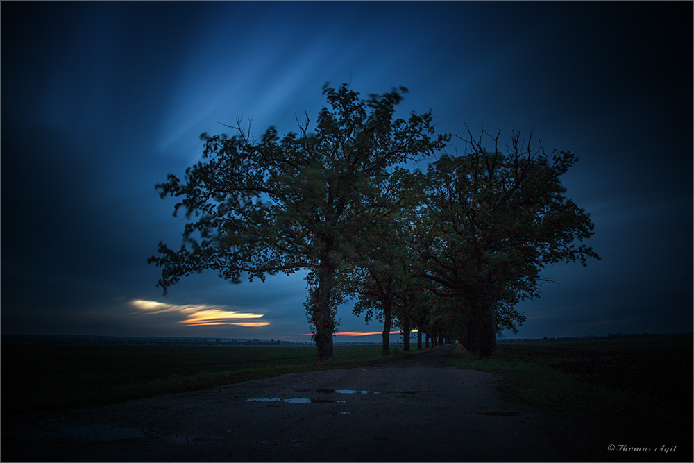 der Lichtstreif am Horizont