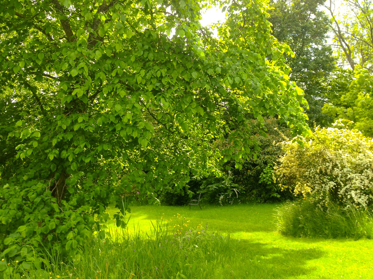 Der lichtvolle Park