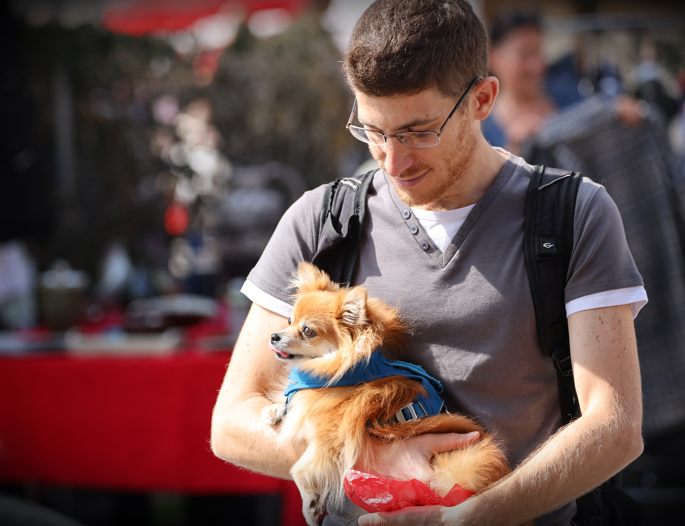 Der Liebling Foto & Bild hunde, hund, natur Bilder auf