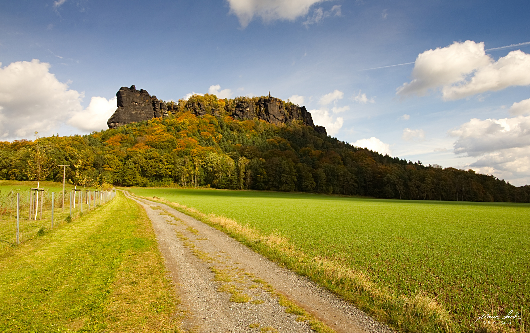 Der Lilienstein