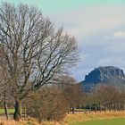 Der Lilienstein und der Baum und ein Stück vom Großen Winterberg,