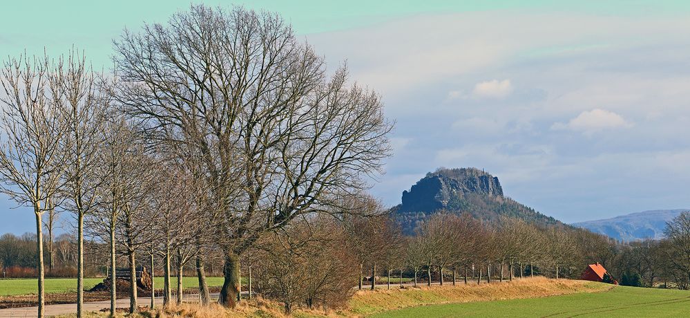 Der Lilienstein und der Baum und ein Stück vom Großen Winterberg,