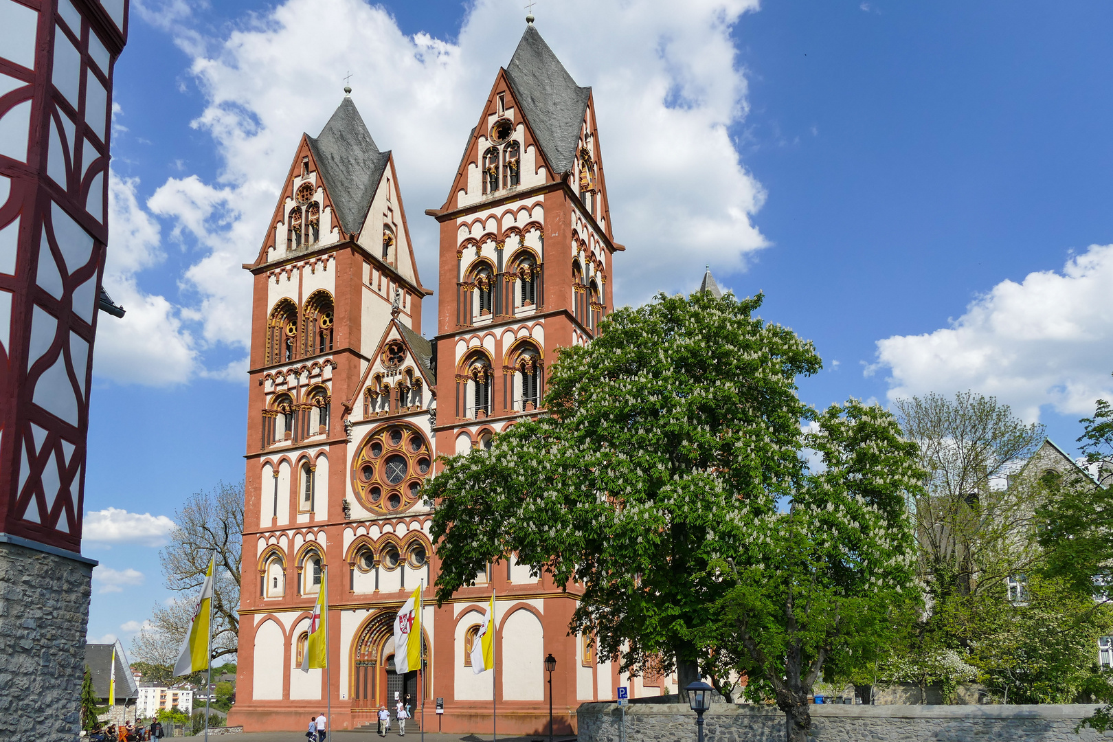 Der Limburger Dom 3