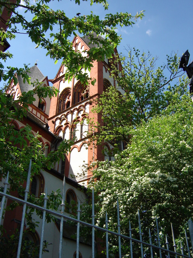 Der Limburger Dom