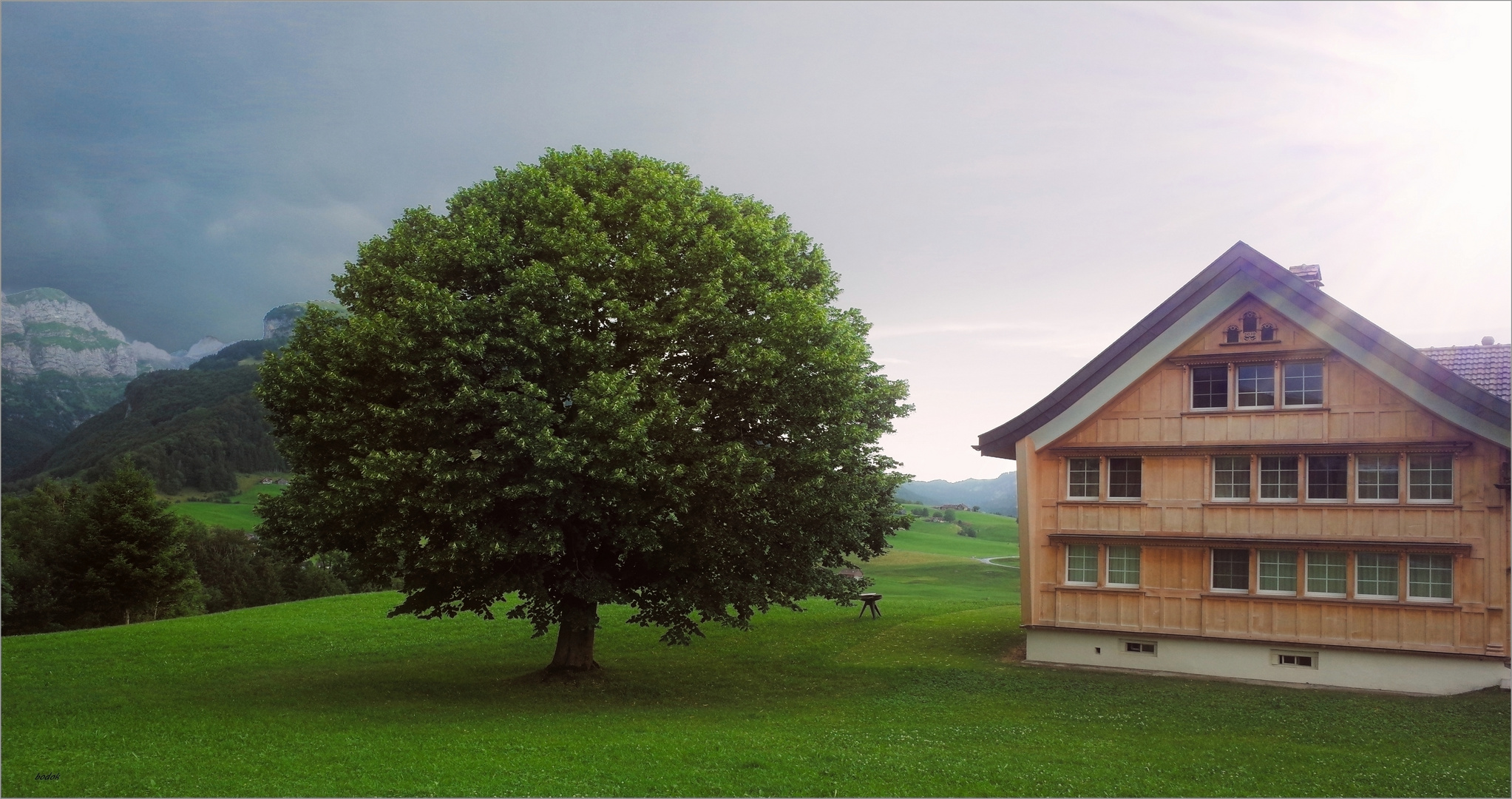 Der Lindenbaum