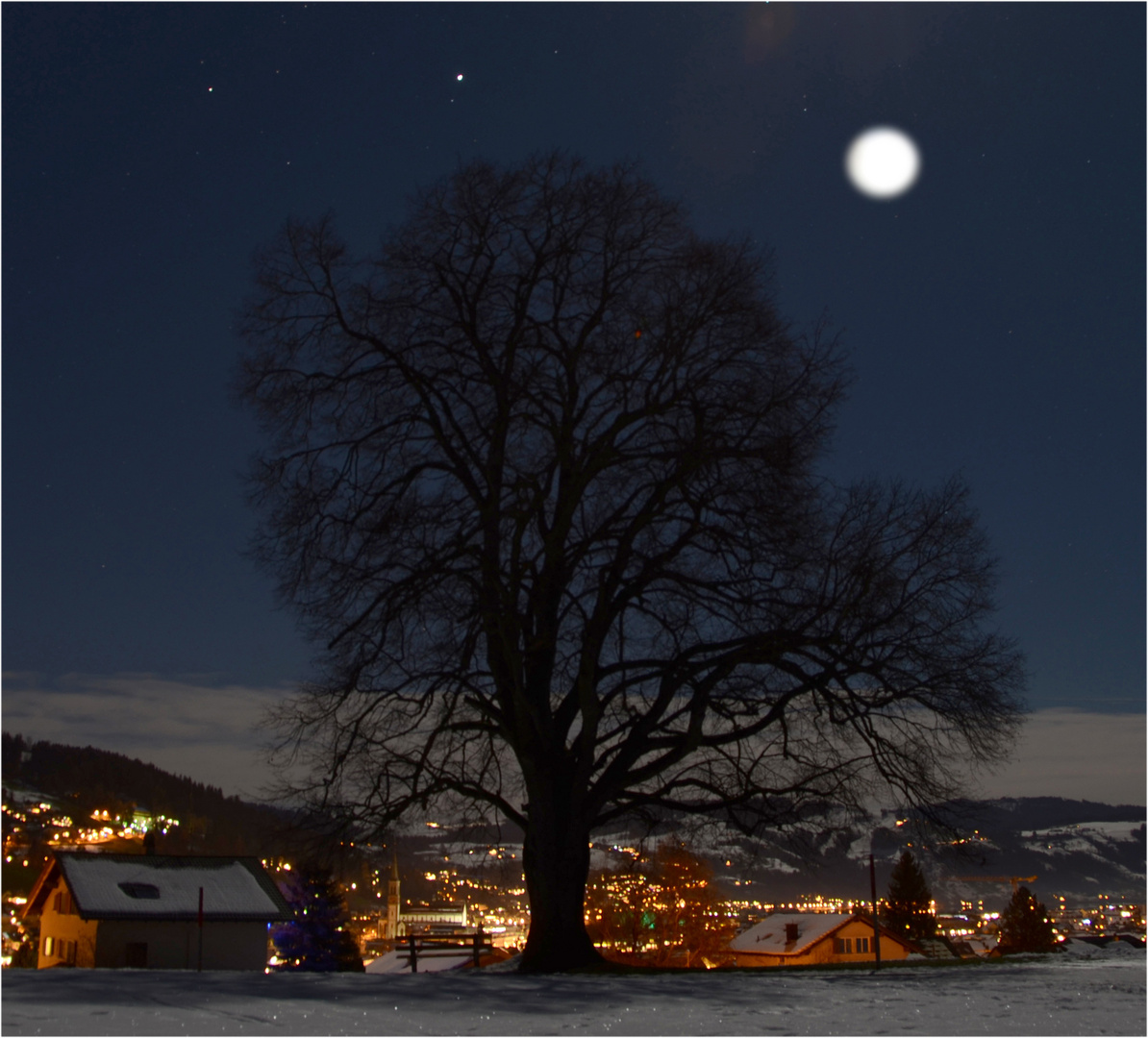 der Lindenbaum