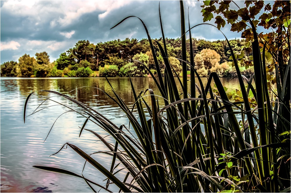 Der Lippesee in Paderborn