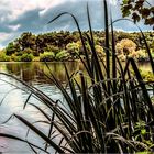 Der Lippesee in Paderborn