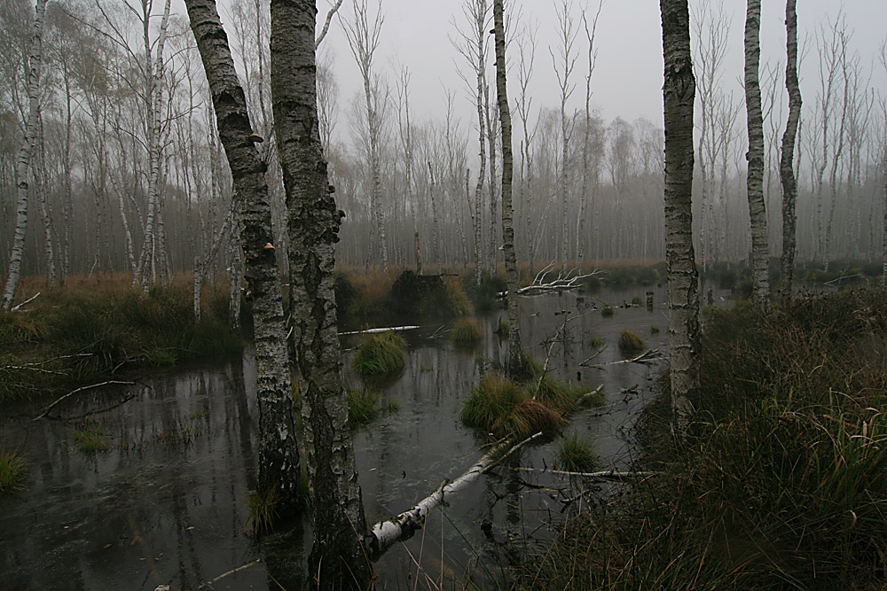 Der Loben (Brandenburg)