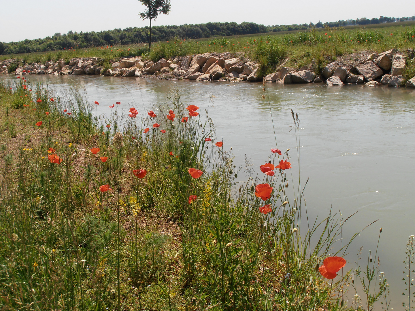Der Lochbach bei Königsbrunn Foto & Bild landschaft, bach, fluss
