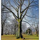 der Löffel im Schlosspark