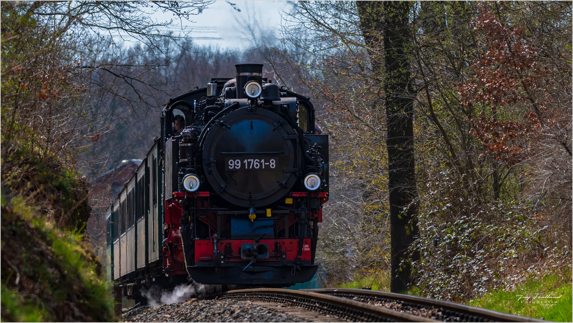 Der Lößnitzdackel nach Moritzburg