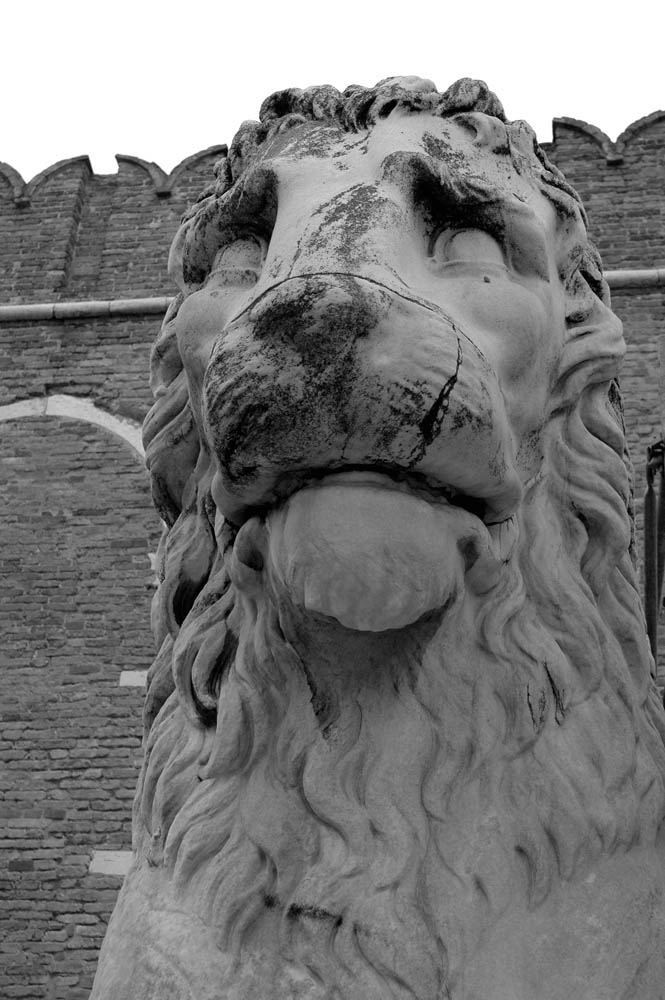 Der Löwe, das Wahrzeichen Venedigs 2