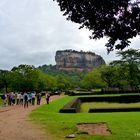 Der Löwenfelsen von Sigiriya !