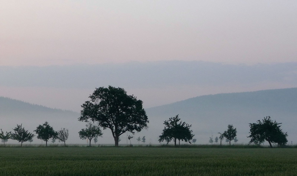 Der Lohn (des frühen "Gassigehens")