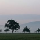 Der Lohn (des frühen "Gassigehens")