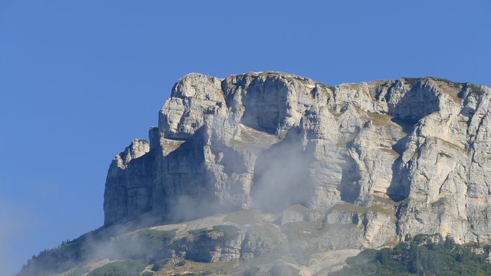 Der Loser in der Morgensonne