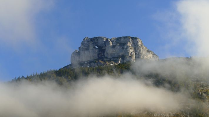 Der Loser in der Morgensonne