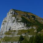 Der Loser mit blauem Himmel