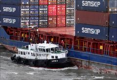 der Lotse geht an Bord der "SAMSKIP COMMANDER"