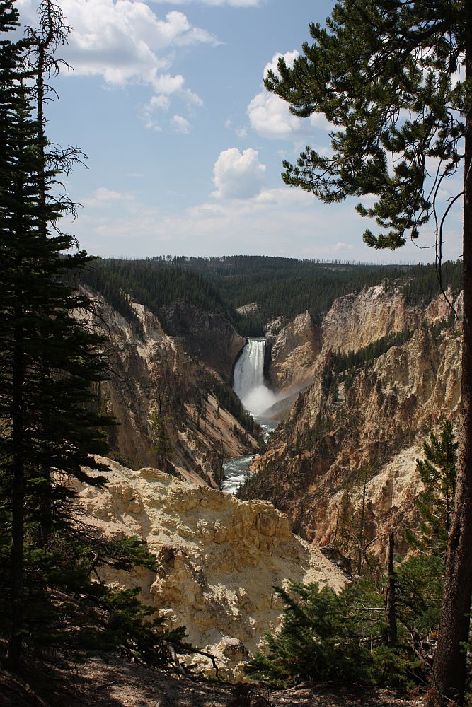 Der Lower Fall des Yellowstone River...