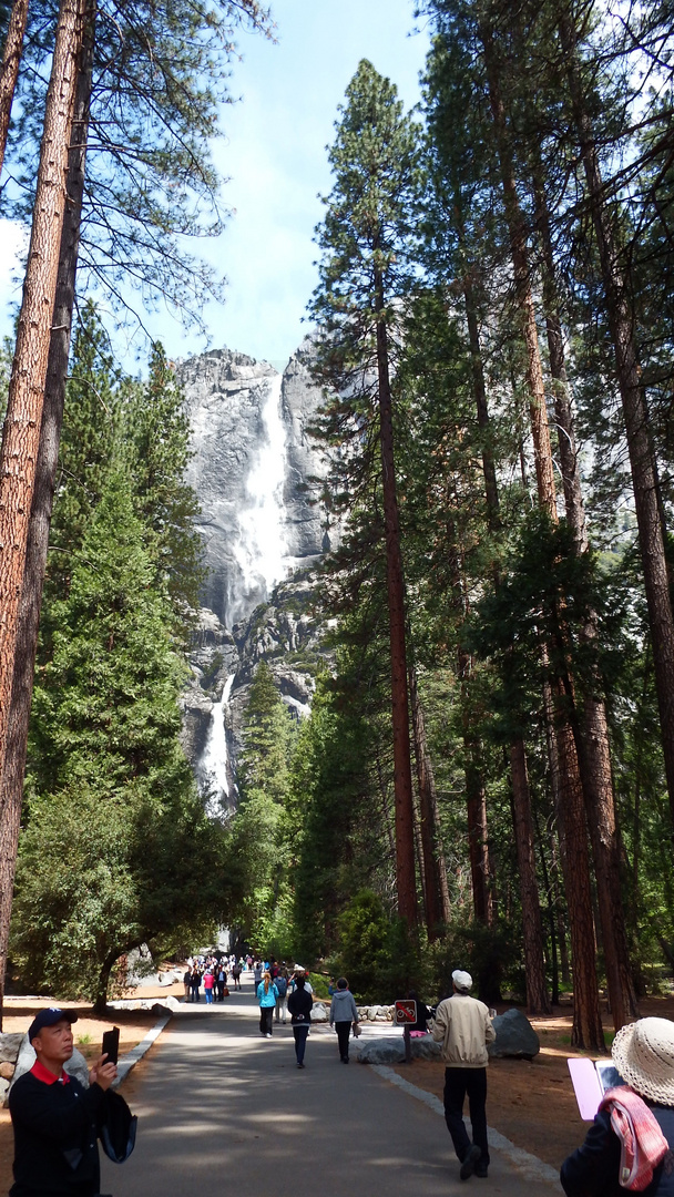 Der Lower Yosemite Fall Trail