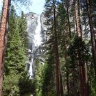 Der Lower Yosemite Fall Trail