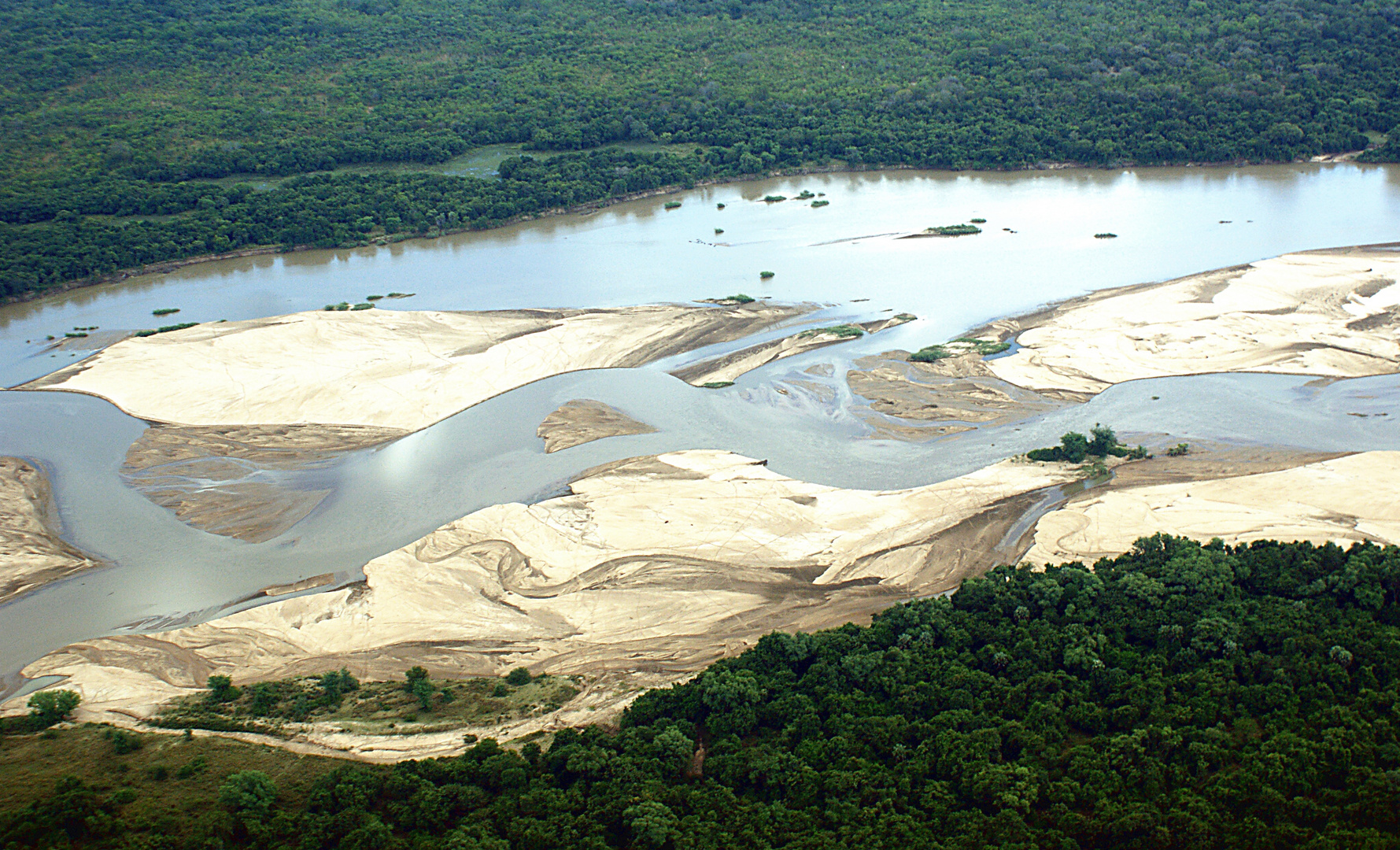 Der Luangwa