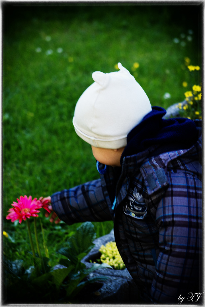 Der Luca und die Blume