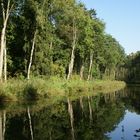 Der Ludwig-Donau-Main-Kanal 