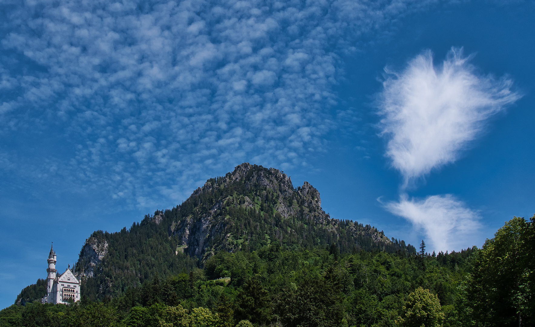 Der Ludwig lebt auf Wolke Sieben