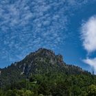 Der Ludwig lebt auf Wolke Sieben