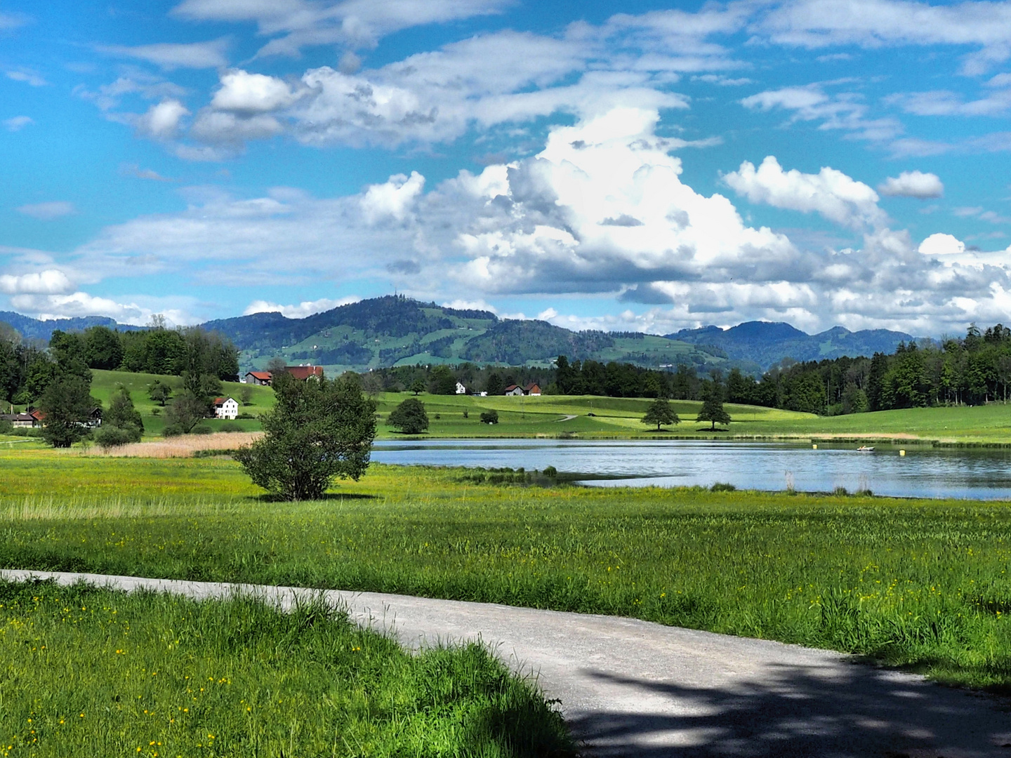 Der Lützelsee im Zürcher Oberland