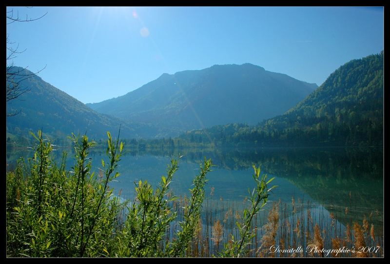 Der Lunzer See am morgen