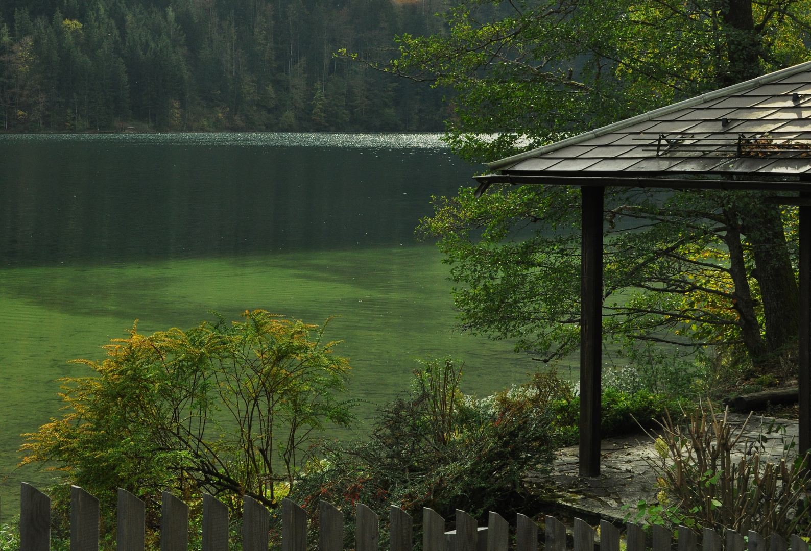 Der Lunzer See im Herbst