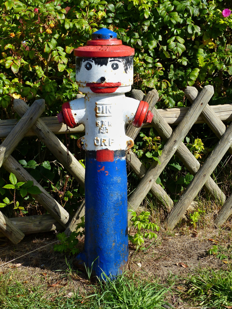 Der lustige Hydrant