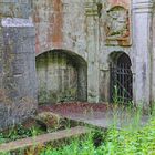 Der Lutterspring im Elm bei Königslutter