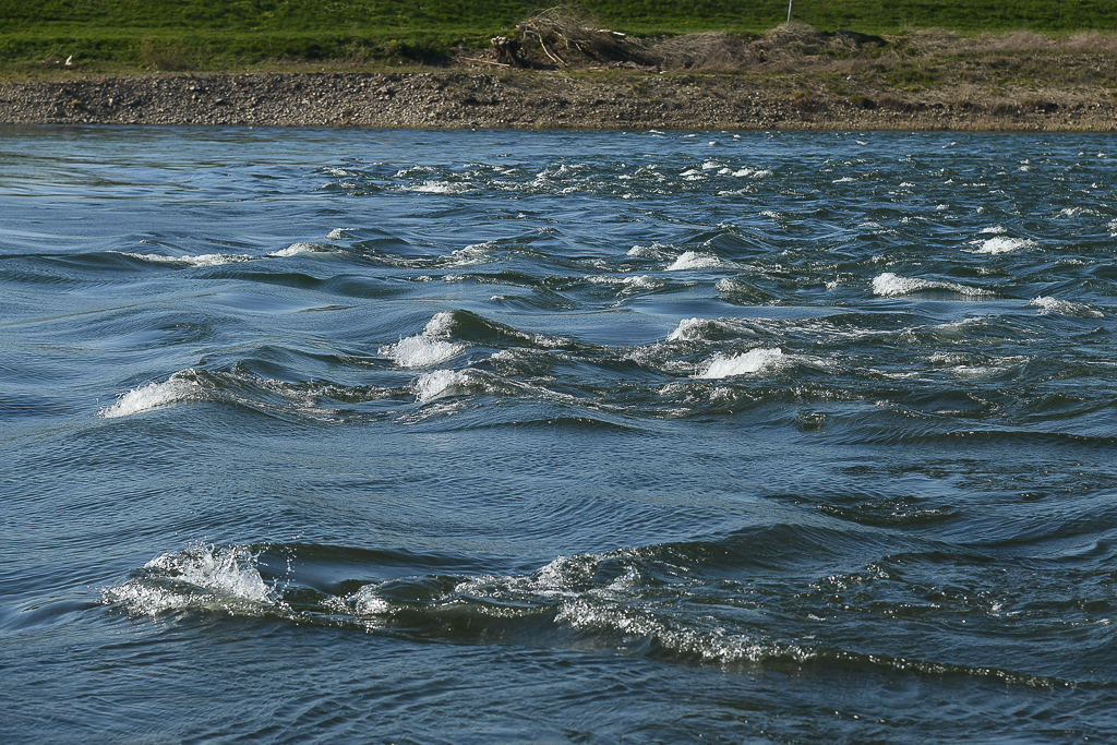 Der Maas bei Geulle aan de Maas (NL)