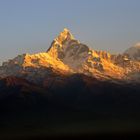 Der Machhapuchre (6993m) vom Aussichtspunkt Sarangkot (1600m) am frühen Morgen