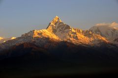 Der Machhapuchre (6993m) vom Aussichtspunkt Sarangkot (1600m) am frühen Morgen