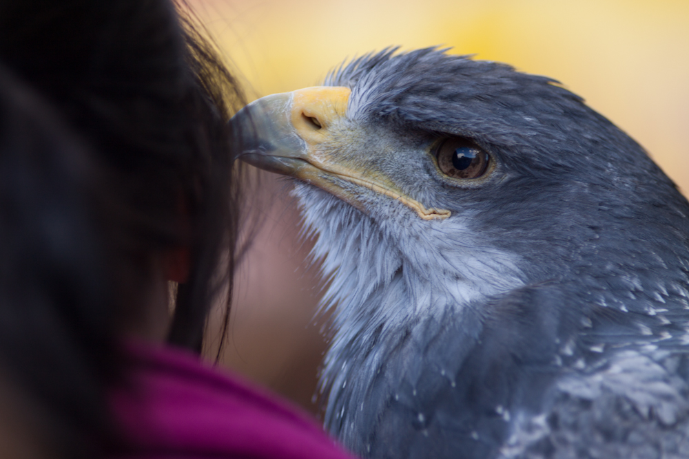 Der Mädchenflüsterer von photokina-contest-2012-1 