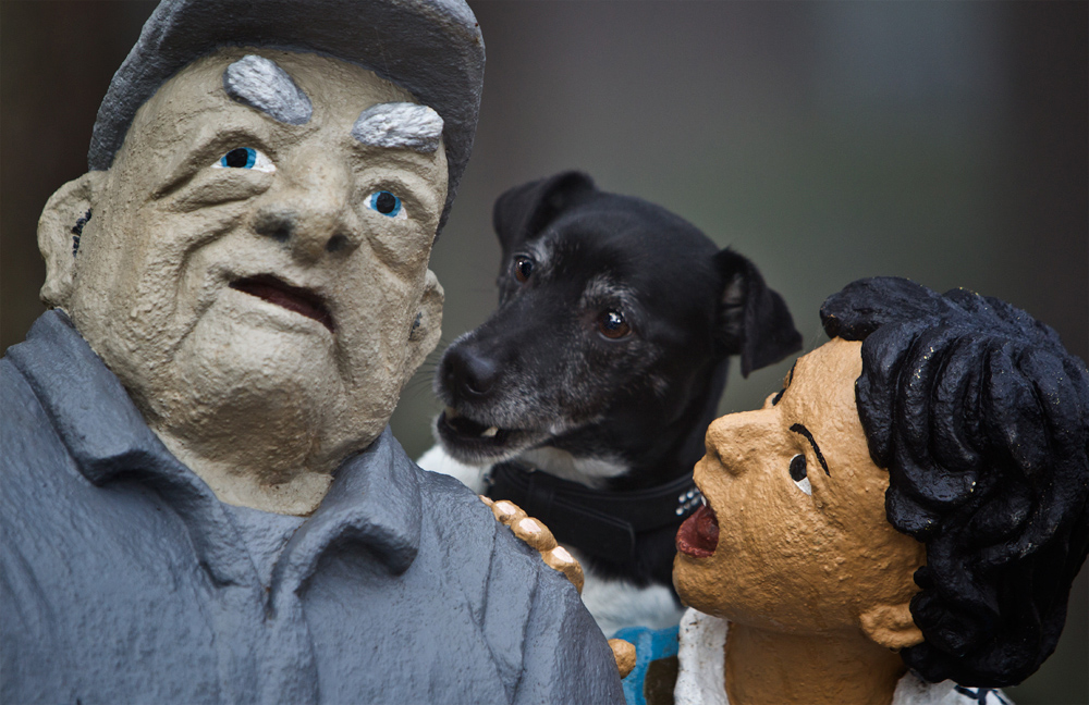 der Märchenonkel... Foto & Bild quatsch, fun und rätselecke, spezial