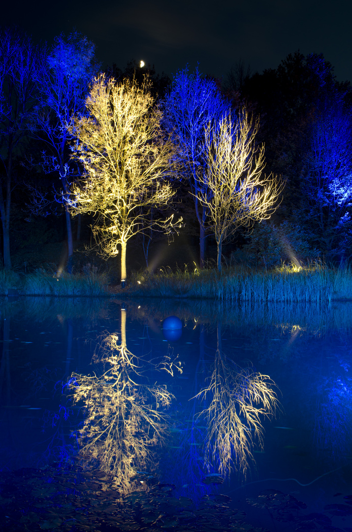 Der Märchensee in Blau