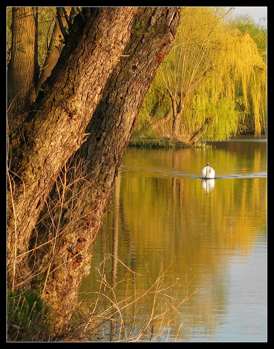 Der Märchenteich