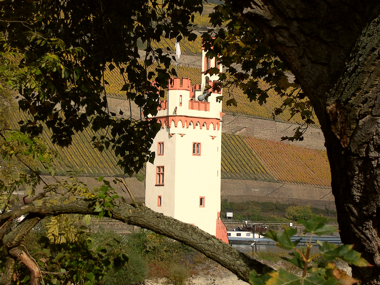 Der Mäuseturm (LGS Bingen 2008)