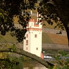 Der Mäuseturm (LGS Bingen 2008)