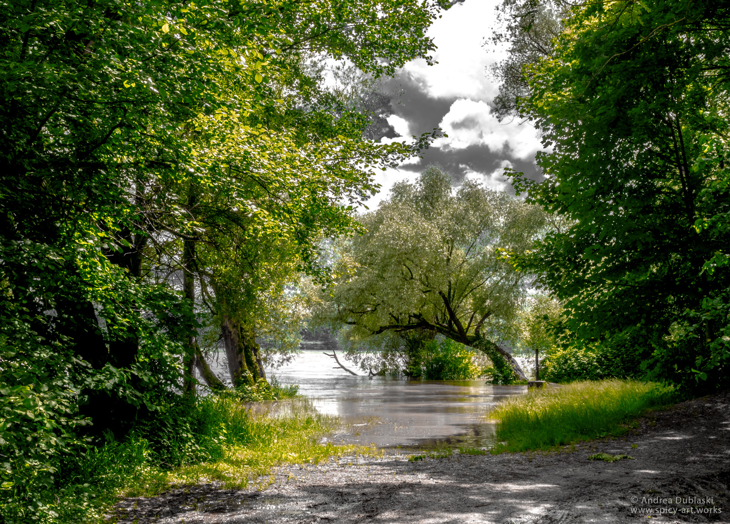 DER MAGISCHE BAUM AM SEE