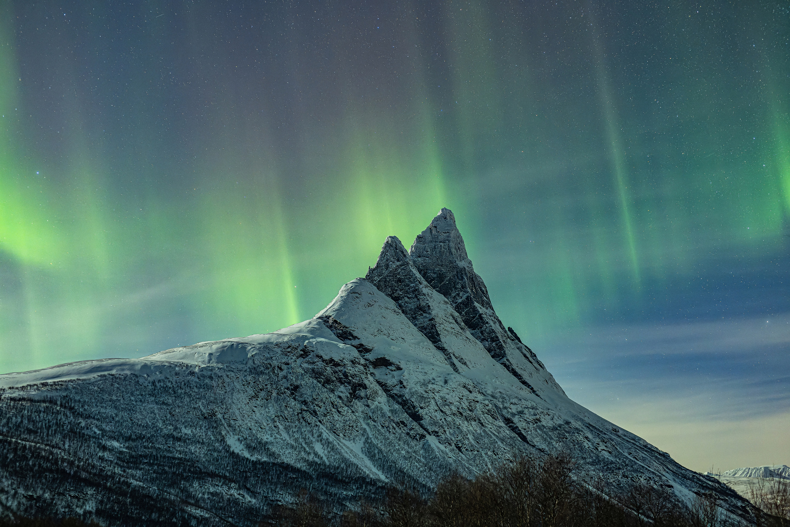 Der magische Berg 